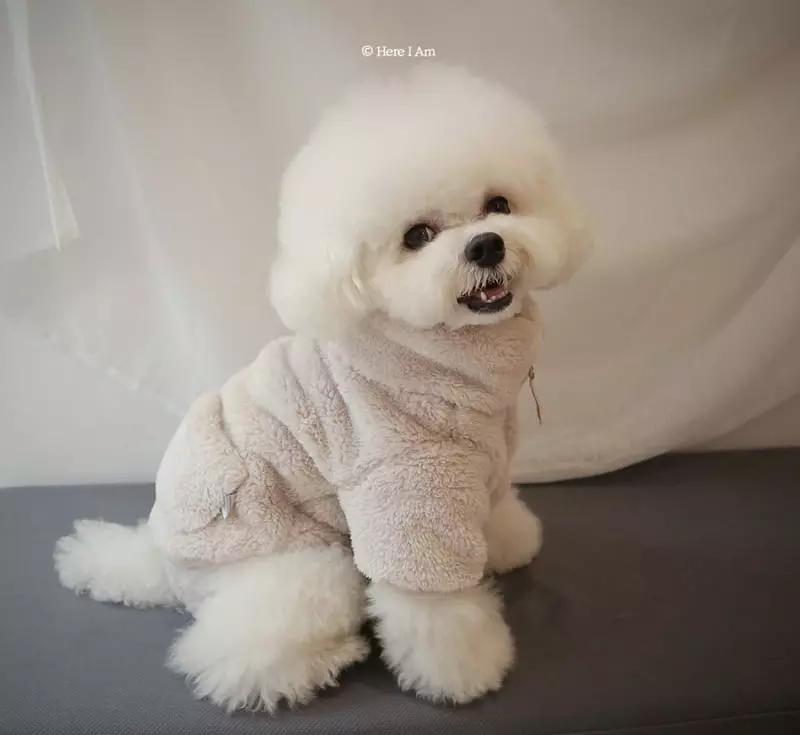 Here I Am - Korean Children Fashion - #todddlerfashion - Kinder Fleece Pet Wear - 8