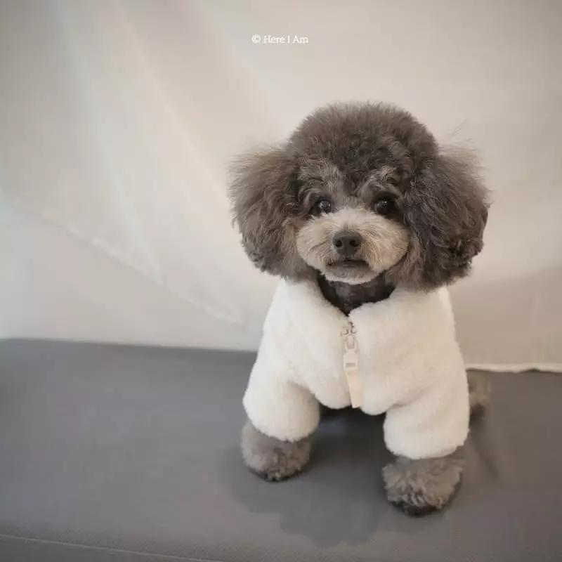 Here I Am - Korean Children Fashion - #toddlerclothing - Kinder Fleece Pet Wear - 9