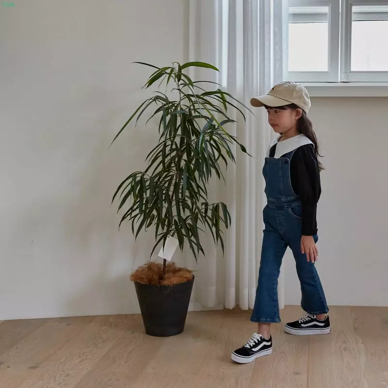 Honeybee - Korean Children Fashion - #childofig - Collar Puff Tee - 9