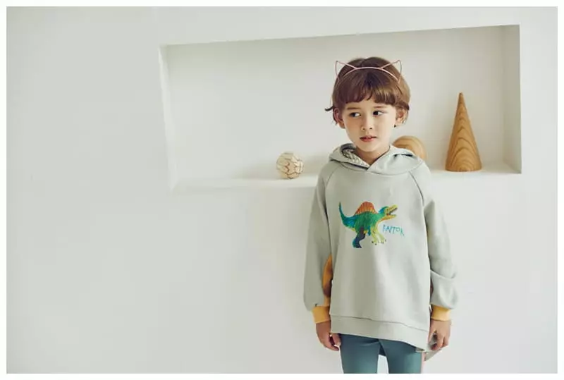 Mimico - Korean Children Fashion - #designkidswear - Rapter Hoody