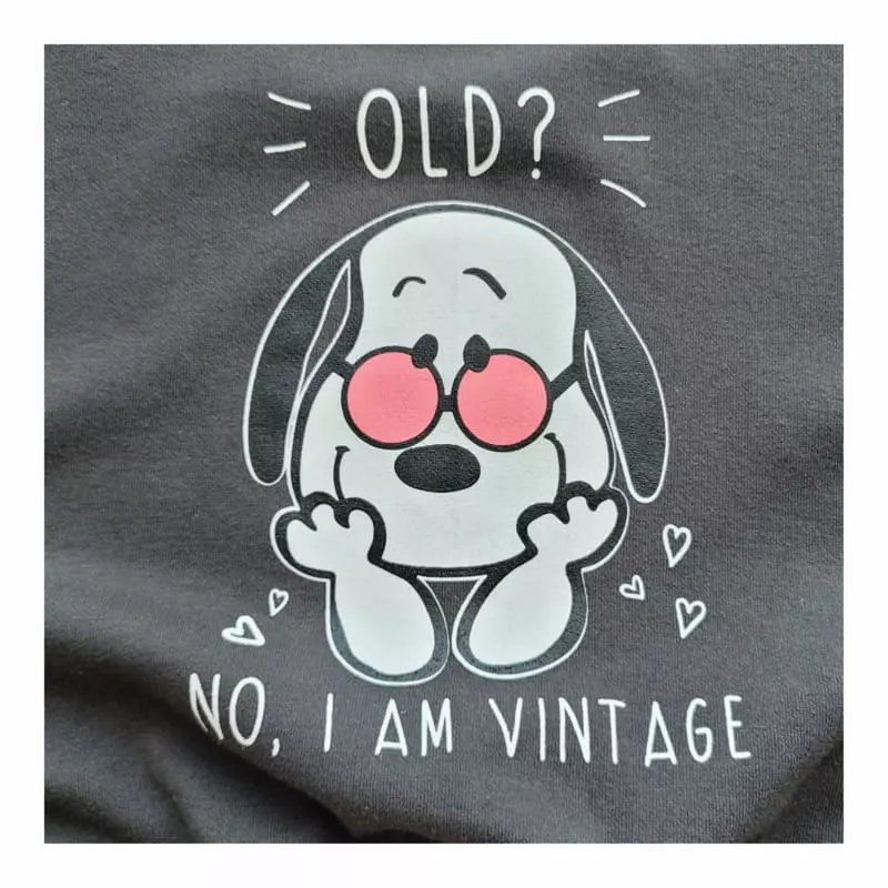Small Label - Korean Children Fashion - #kidsstore - Vintage Sweatshirt - 2
