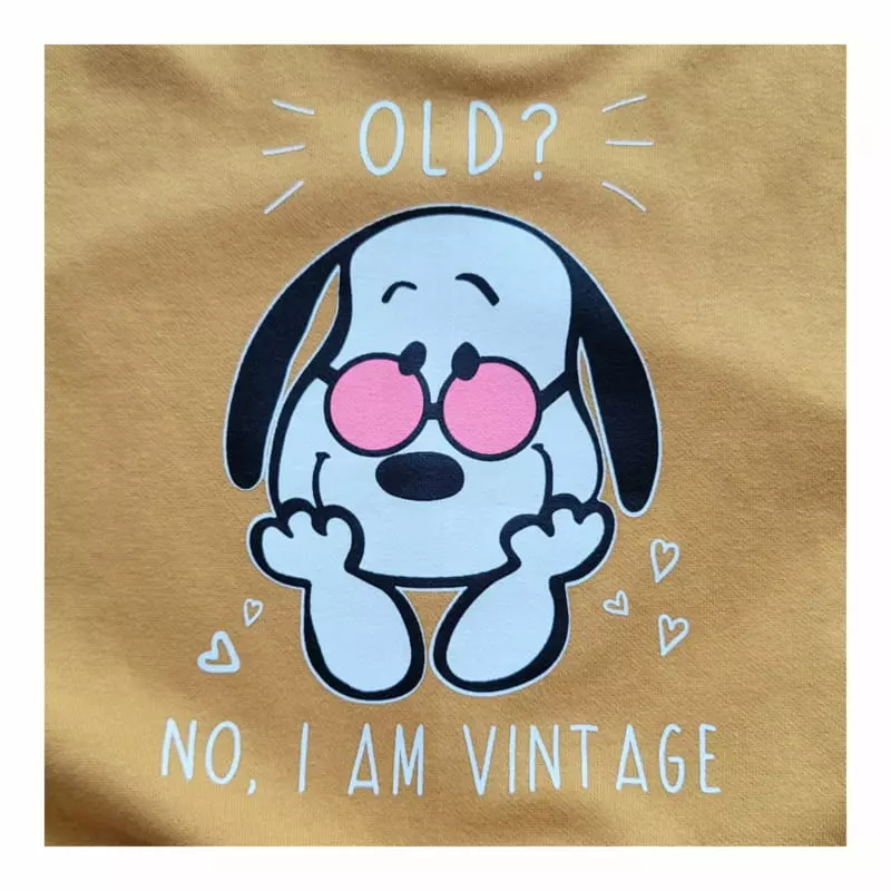 Small Label - Korean Children Fashion - #prettylittlegirls - Vintage Sweatshirt - 8