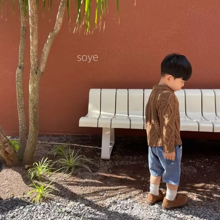Soye - Korean Children Fashion - #littlefashionista - Velvet Pants
