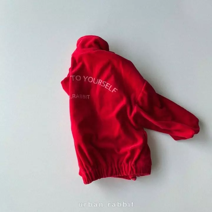 Urban Rabbit - Korean Children Fashion - #childrensboutique - Veloure Jumper - 3
