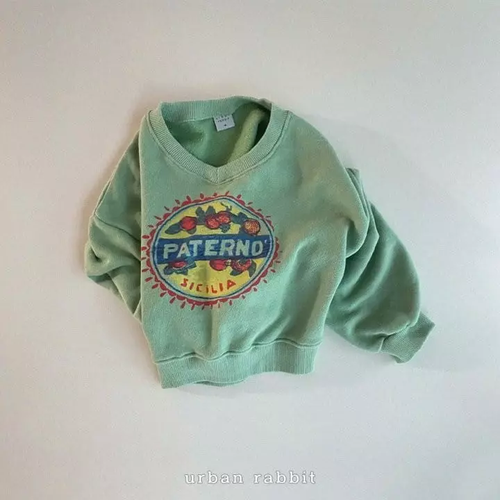 Urban Rabbit - Korean Children Fashion - #kidsshorts - Crop Sweatshirt - 10