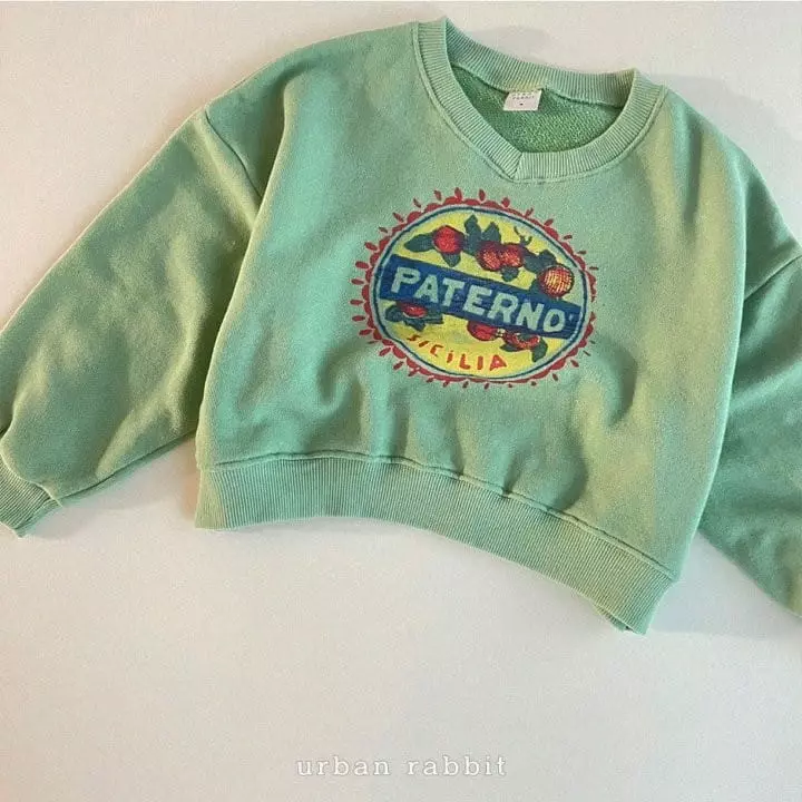 Urban Rabbit - Korean Children Fashion - #kidsstore - Crop Sweatshirt - 11