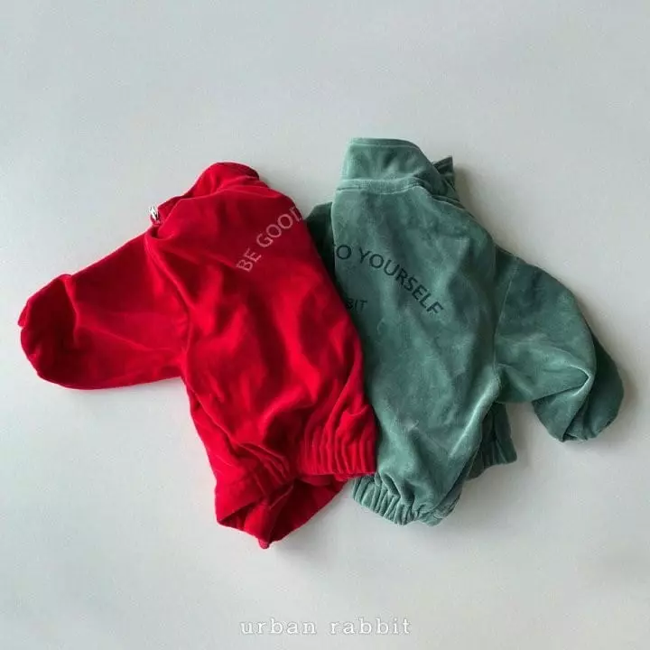 Urban Rabbit - Korean Children Fashion - #littlefashionista - Veloure Jumper - 11