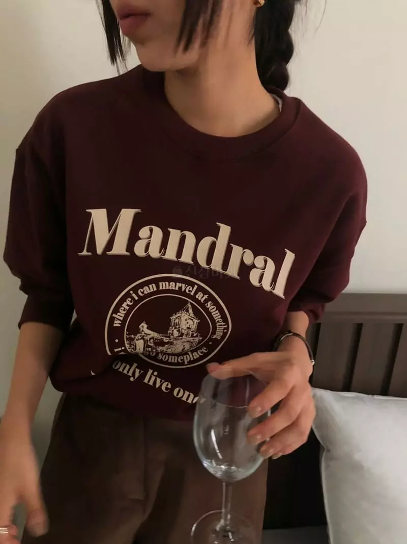 A Want - Korean Women Fashion - #womensfashion - Mandral Sweatshirt - 6
