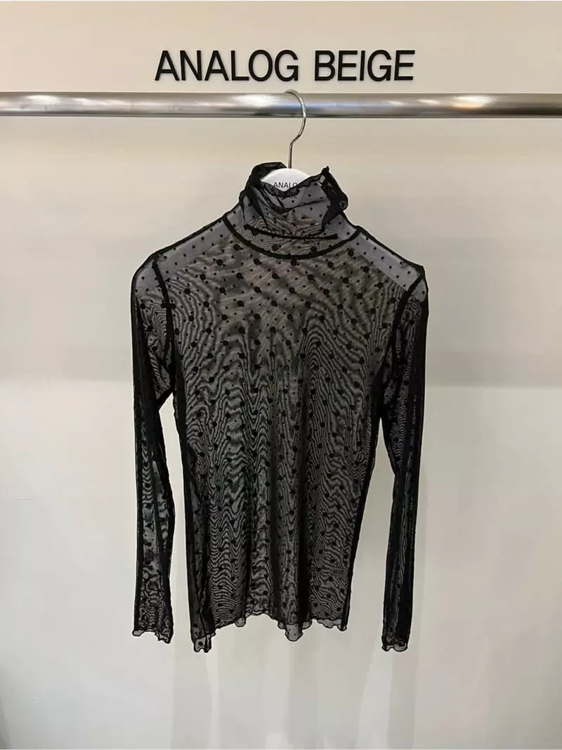 Analog Beige - Korean Women Fashion - #vintageinspired - Dot Mesh Turtleneck Tee - 3