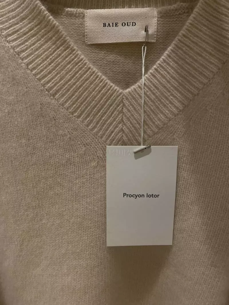 Baie Oud - Korean Women Fashion - #womensfashion - Racoon V Knit Tee - 2