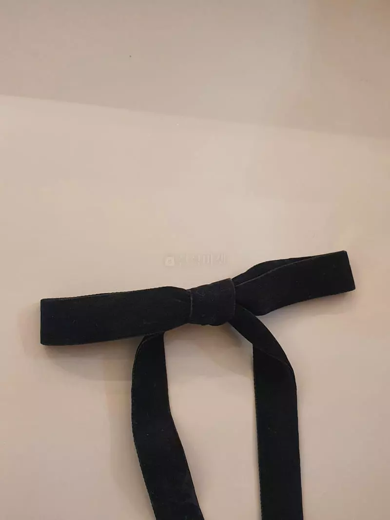 Blancchouette - Korean Women Fashion - #womensfashion - Velvet 2 Ribbon Hairpin - 3