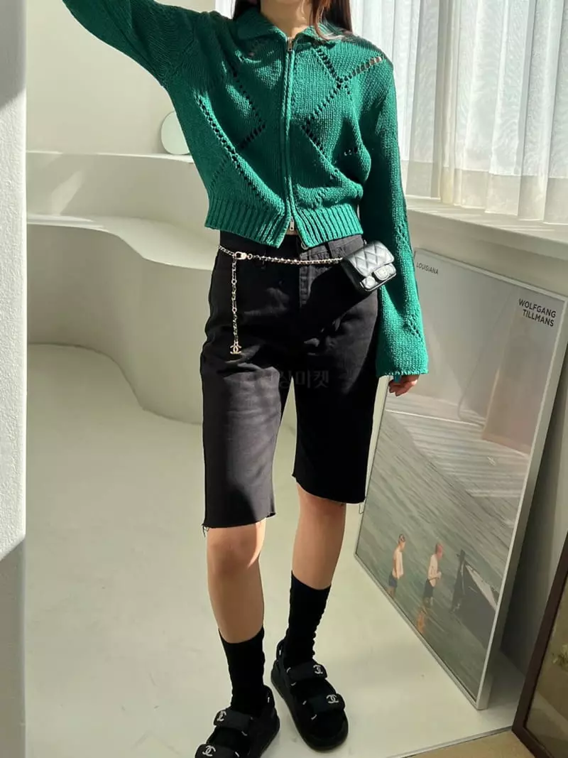 Bricklane - Korean Women Fashion - #womensfashion - Scsi Zip Up Knit Tee