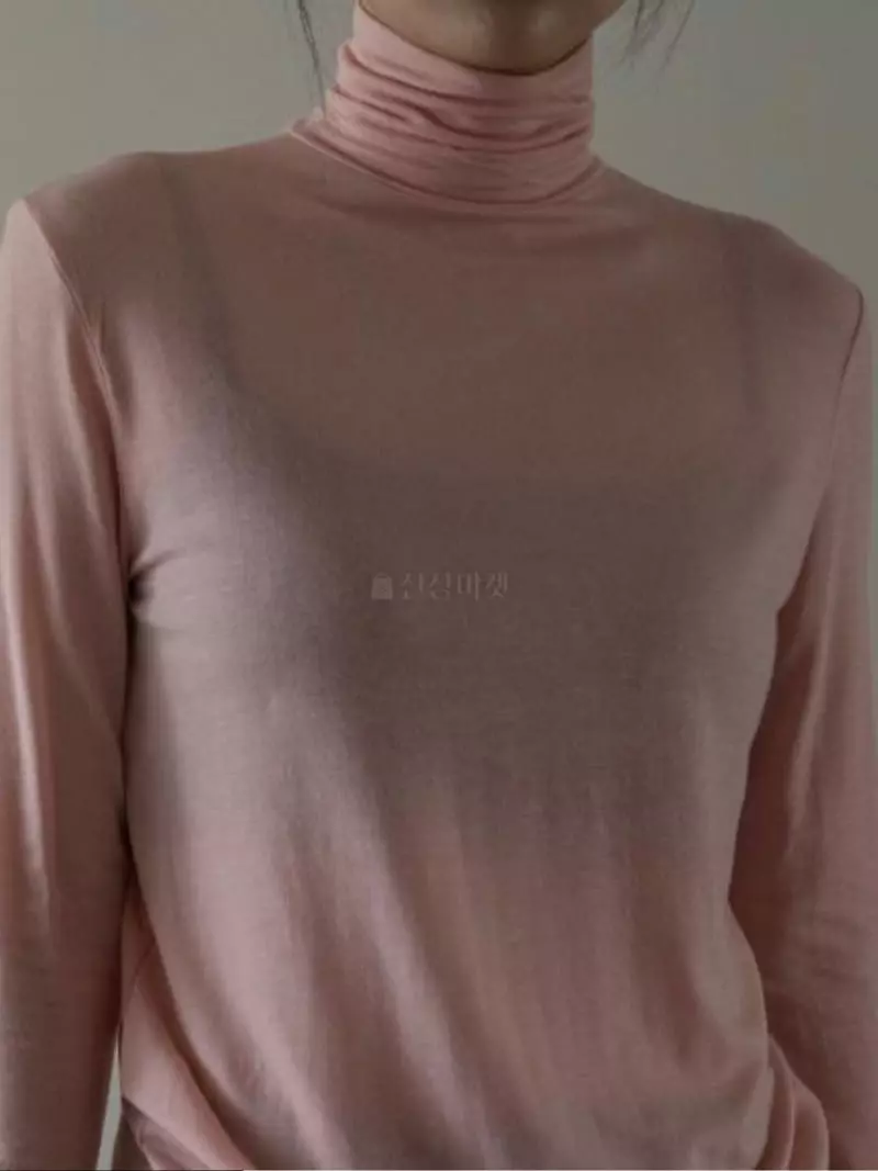 Browns - Korean Women Fashion - #womensfashion - Turtleneck Tee - 6