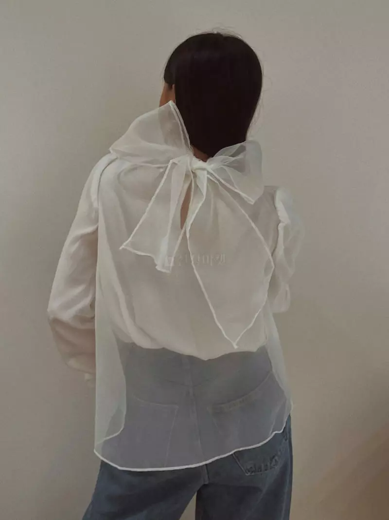 Fabric Seoul - Korean Women Fashion - #momslook - See Through Blouse - 10