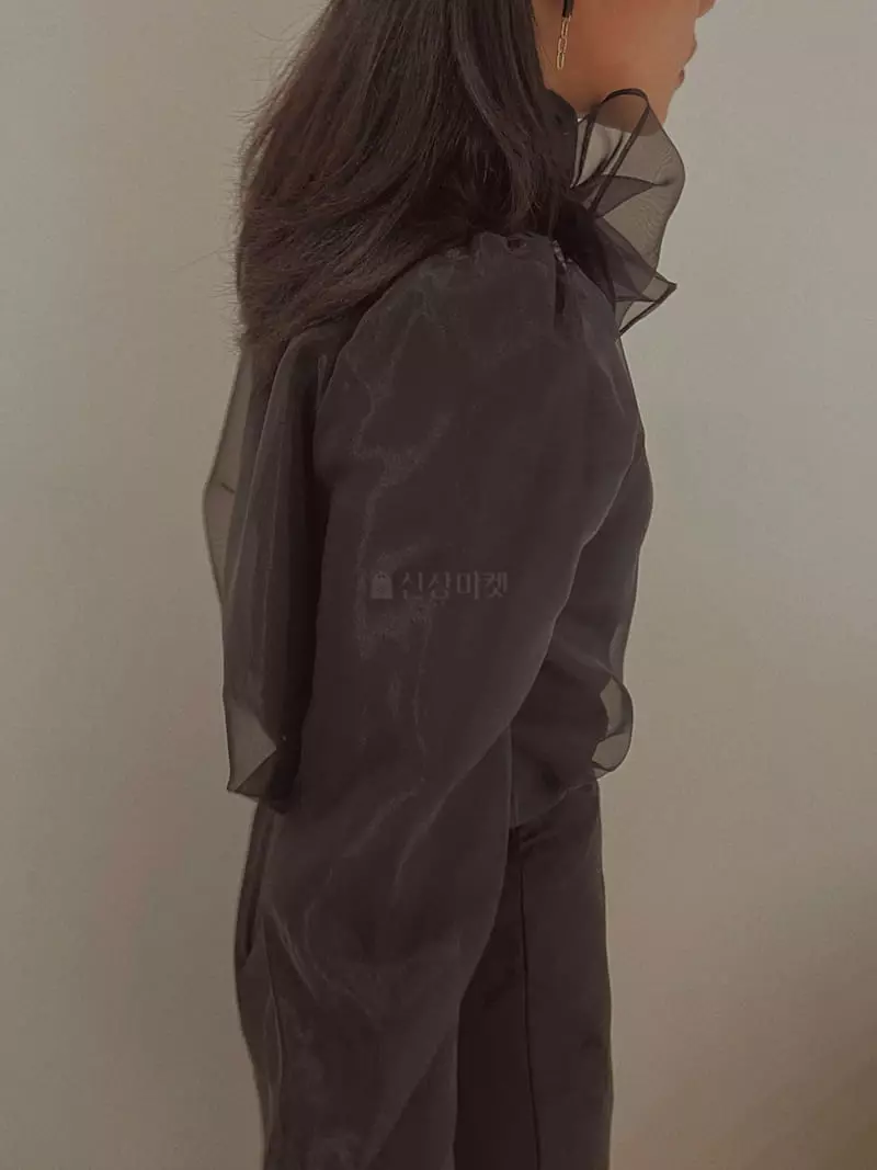 Fabric Seoul - Korean Women Fashion - #momslook - See Through Blouse - 8