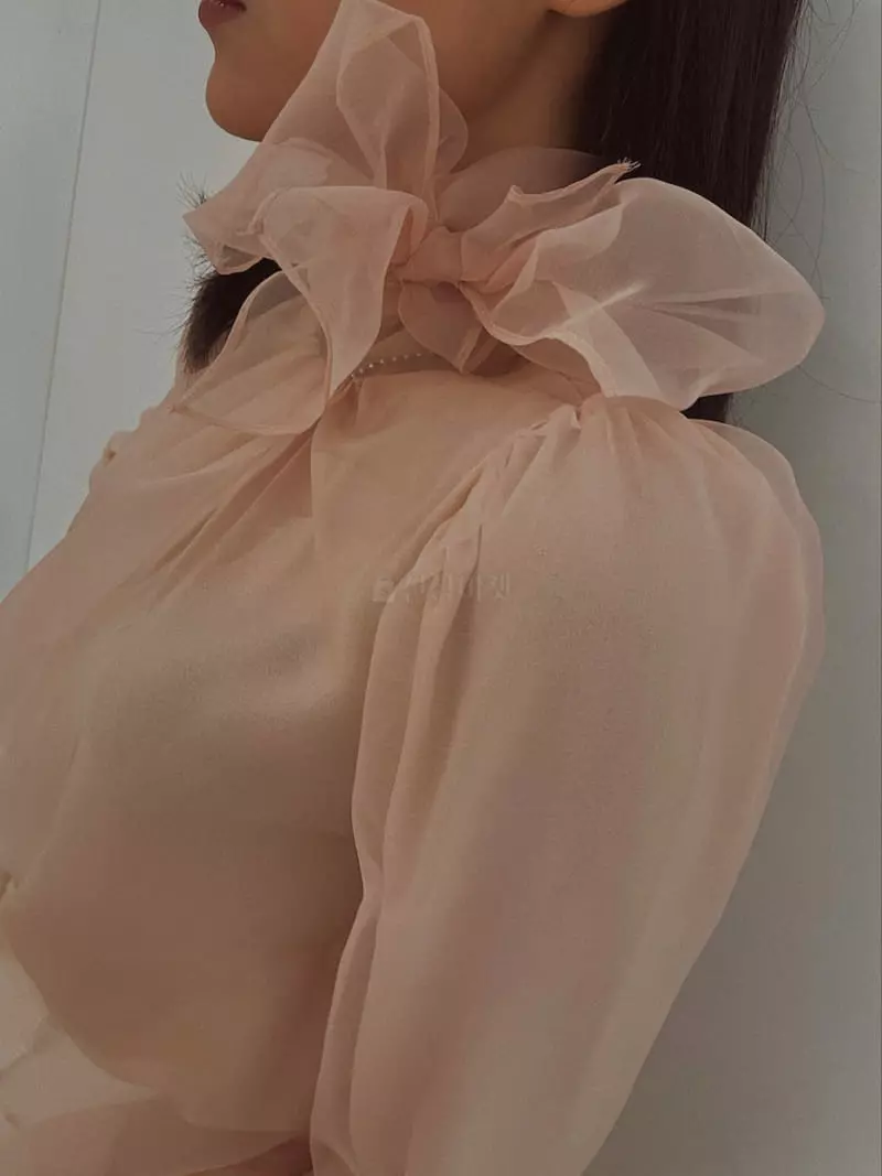 Fabric Seoul - Korean Women Fashion - #restrostyle - See Through Blouse