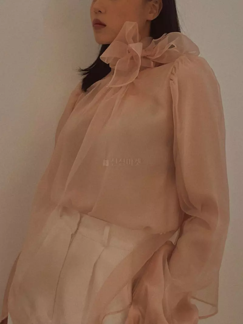 Fabric Seoul - Korean Women Fashion - #romanticstyle - See Through Blouse - 2