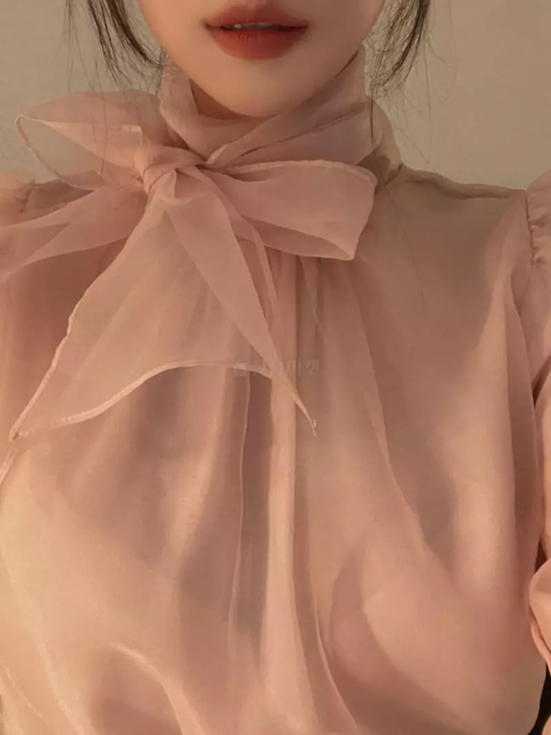 Fabric Seoul - Korean Women Fashion - #shopsmall - See Through Blouse - 3