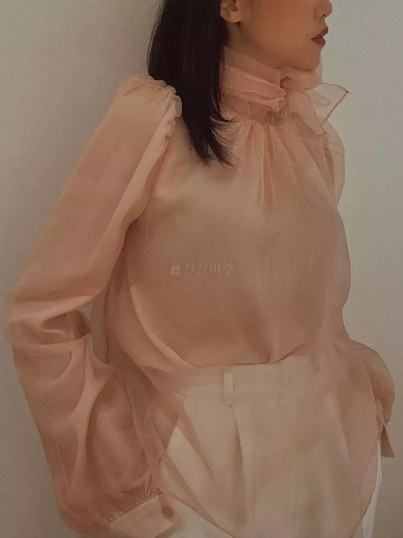 Fabric Seoul - Korean Women Fashion - #shopsmall - See Through Blouse - 4