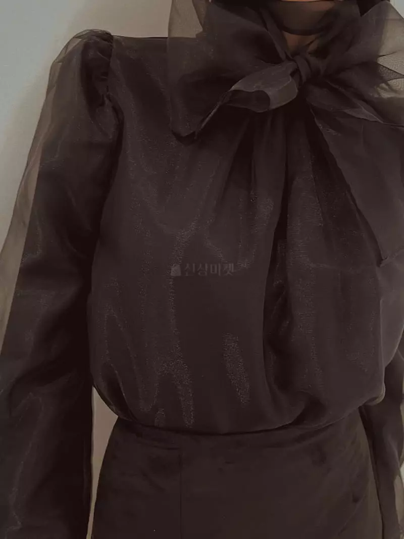 Fabric Seoul - Korean Women Fashion - #womensfashion - See Through Blouse - 7