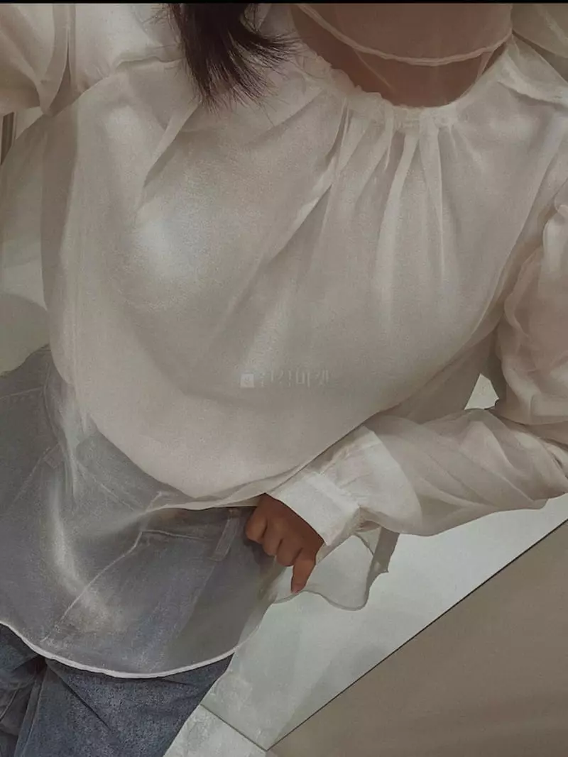 Fabric Seoul - Korean Women Fashion - #womensfashion - See Through Blouse - 9
