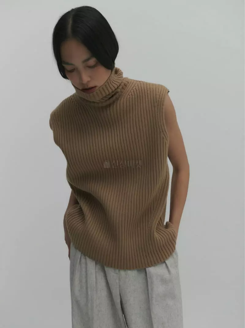 Fave - Korean Women Fashion - #momslook - Rib Turtleneck Knit Tee - 2