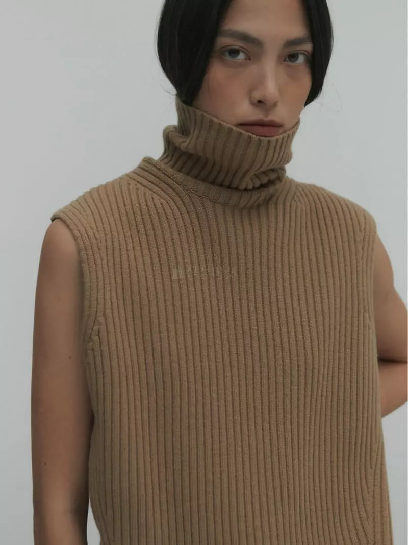 Fave - Korean Women Fashion - #womensfashion - Rib Turtleneck Knit Tee - 3