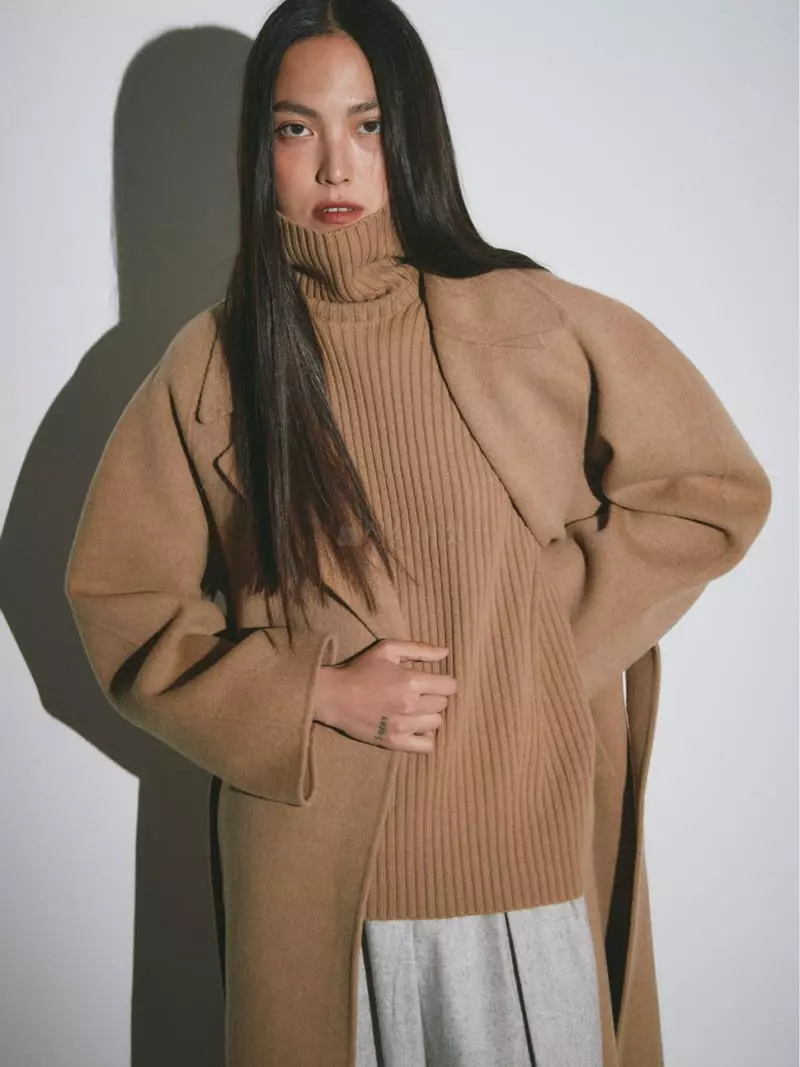 Fave - Korean Women Fashion - #womensfashion - Rib Turtleneck Knit Tee - 5