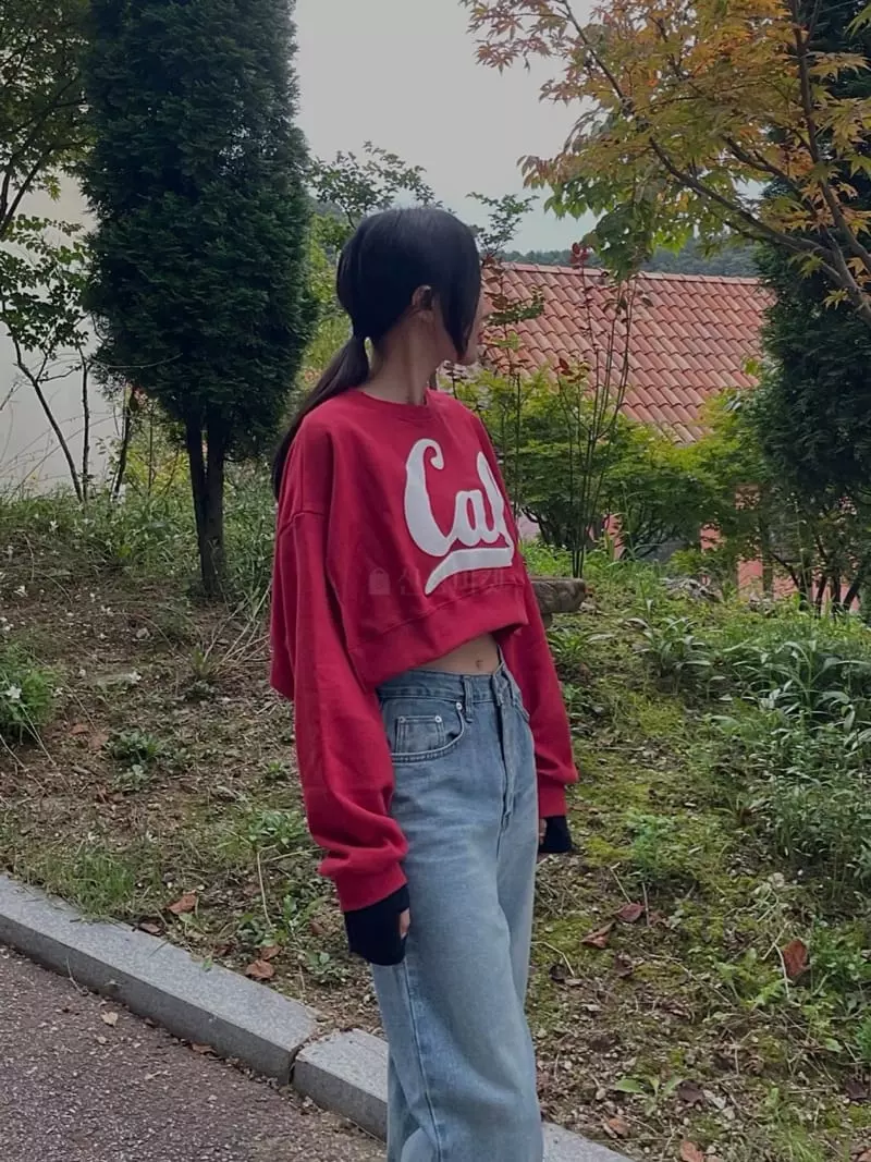 Hi Raki - Korean Women Fashion - #momslook - Kell Sweatshirt - 9