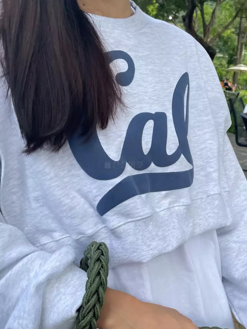 Hi Raki - Korean Women Fashion - #vintageinspired - Cal Sweatshirt - 6