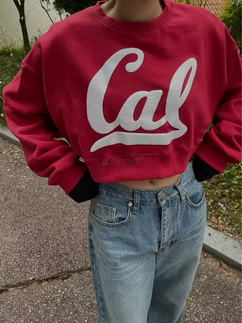 Hi Raki - Korean Women Fashion - #momslook - Kell Sweatshirt - 4