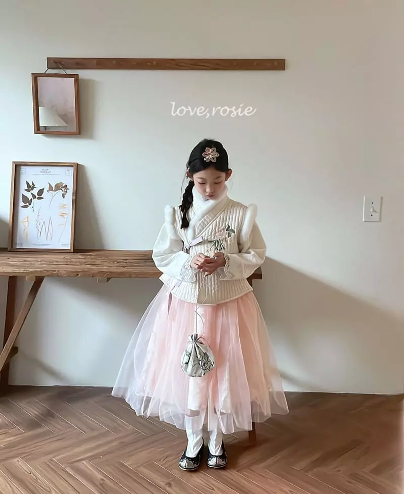 Love Rosie - Korean Children Fashion - #designkidswear - Graceful Embrodiery Long Hanbok XL Size - 2