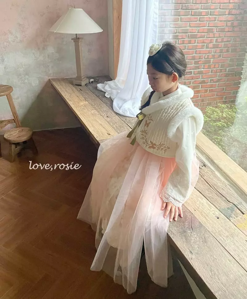 Love Rosie - Korean Children Fashion - #littlefashionista - Butterfly Embroidery Hanbok Vest XL Size - 7