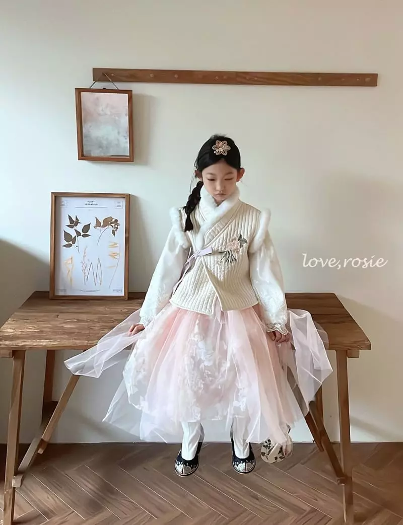 Love Rosie - Korean Children Fashion - #magicofchildhood - Graceful Embrodiery Long Hanbok XL Size - 10