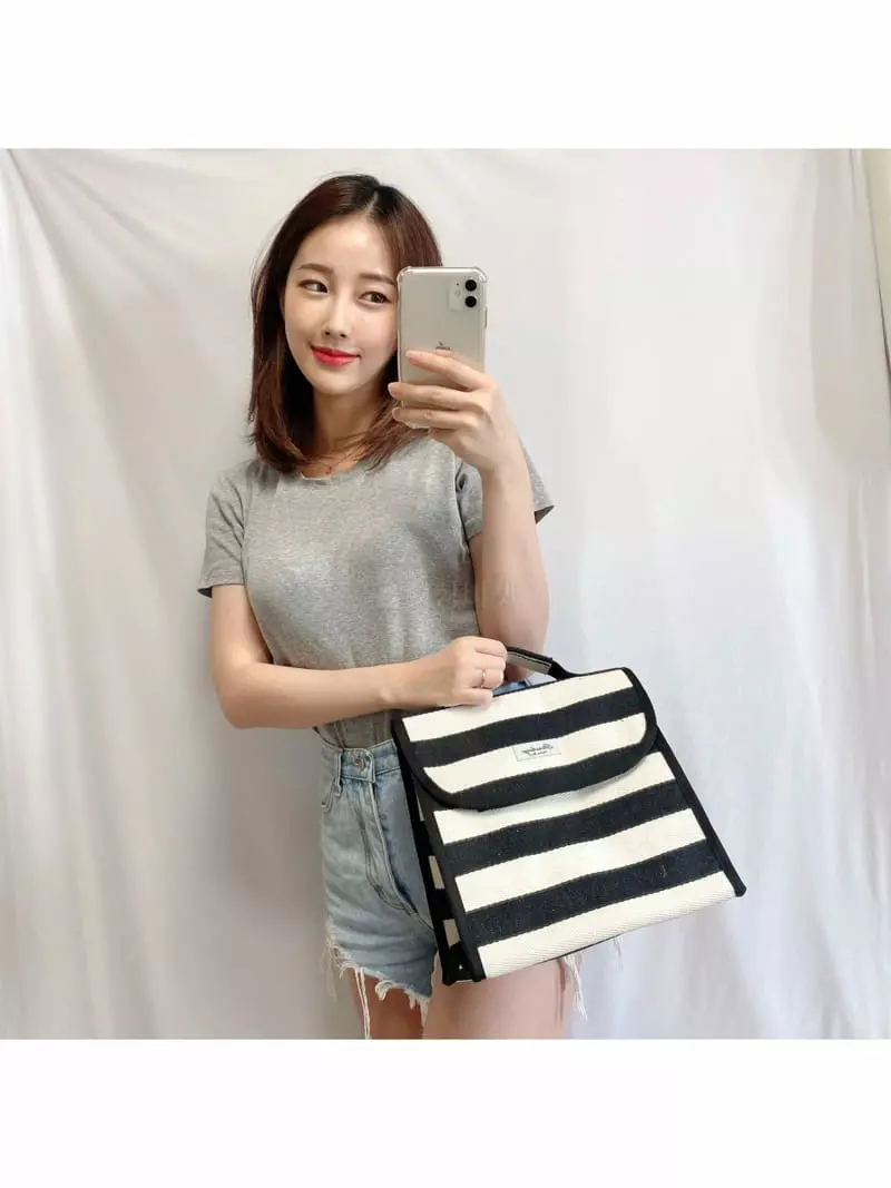 Megoshop - Korean Women Fashion - #romanticstyle - Picnic Cooler Bag - 3