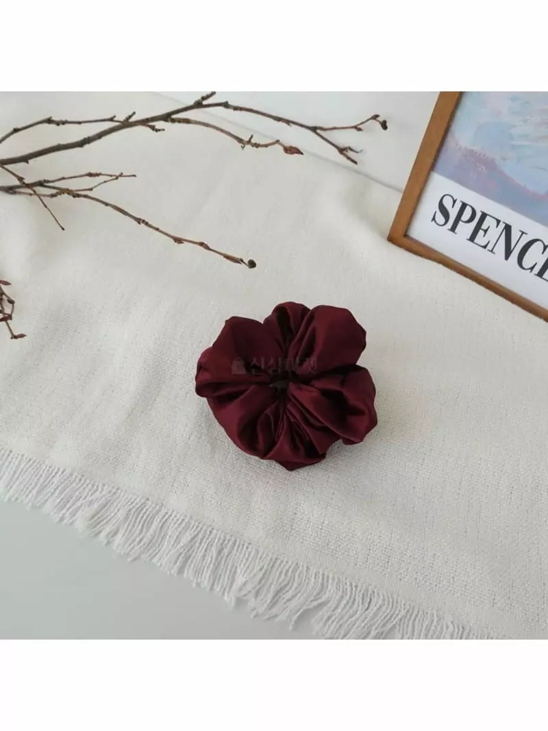 Noii - Korean Women Fashion - #momslook - H1578 Scrunchy Hairring - 6