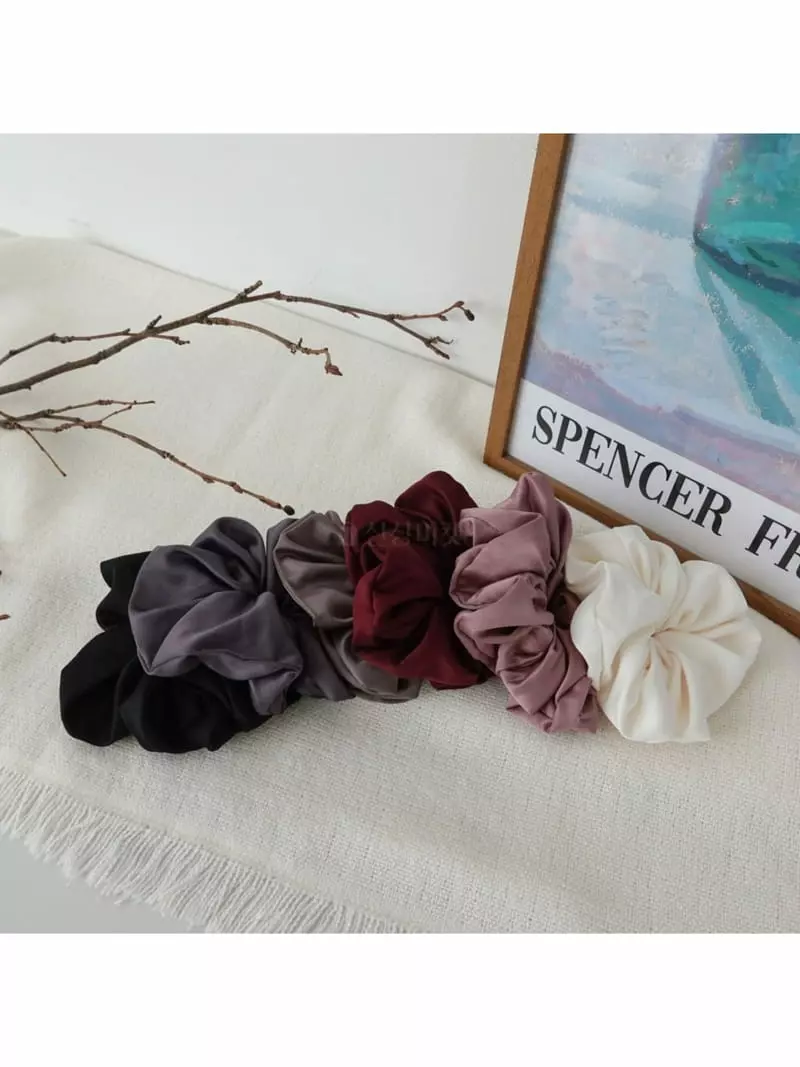 Noii - Korean Women Fashion - #womensfashion - H1578 Scrunchy Hairring - 11