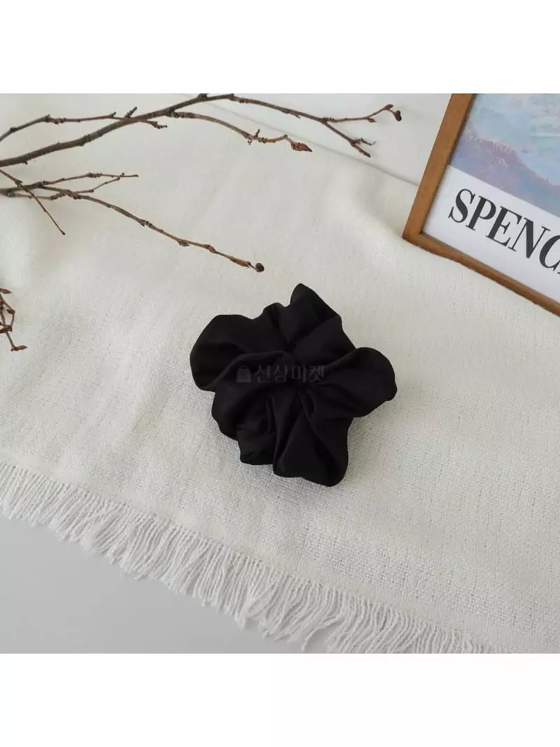 Noii - Korean Women Fashion - #womensfashion - H1578 Scrunchy Hairring - 9