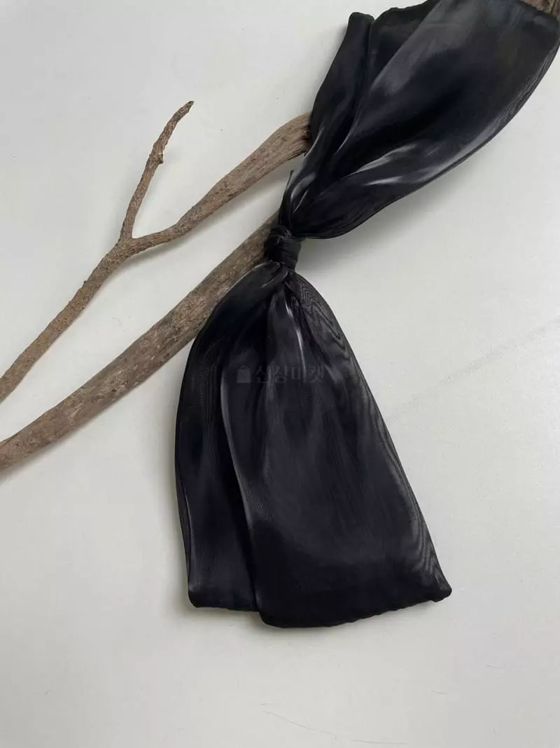 Nyunyu Wear - Korean Women Fashion - #womensfashion - Bling Big Hairpin - 4