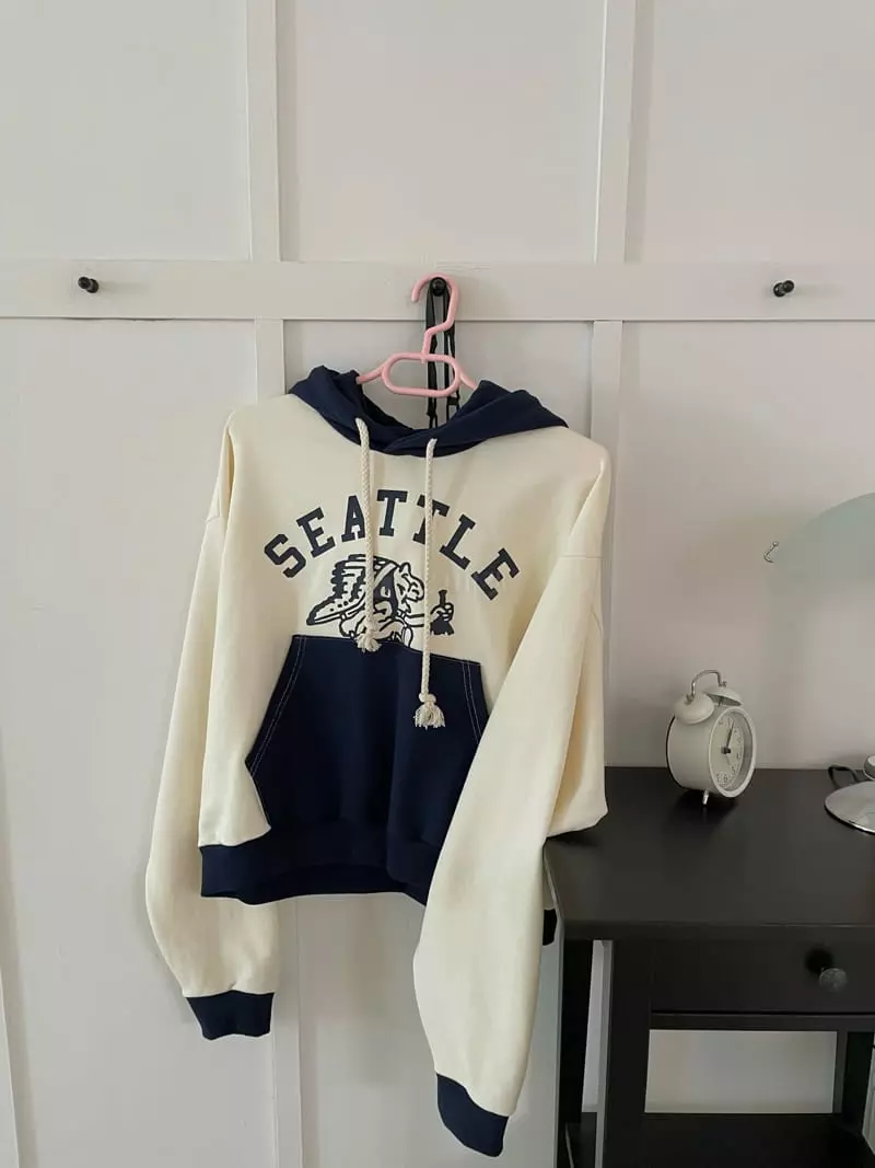 Pink Dolphin - Korean Women Fashion - #womensfashion - Indian Hoody - 4