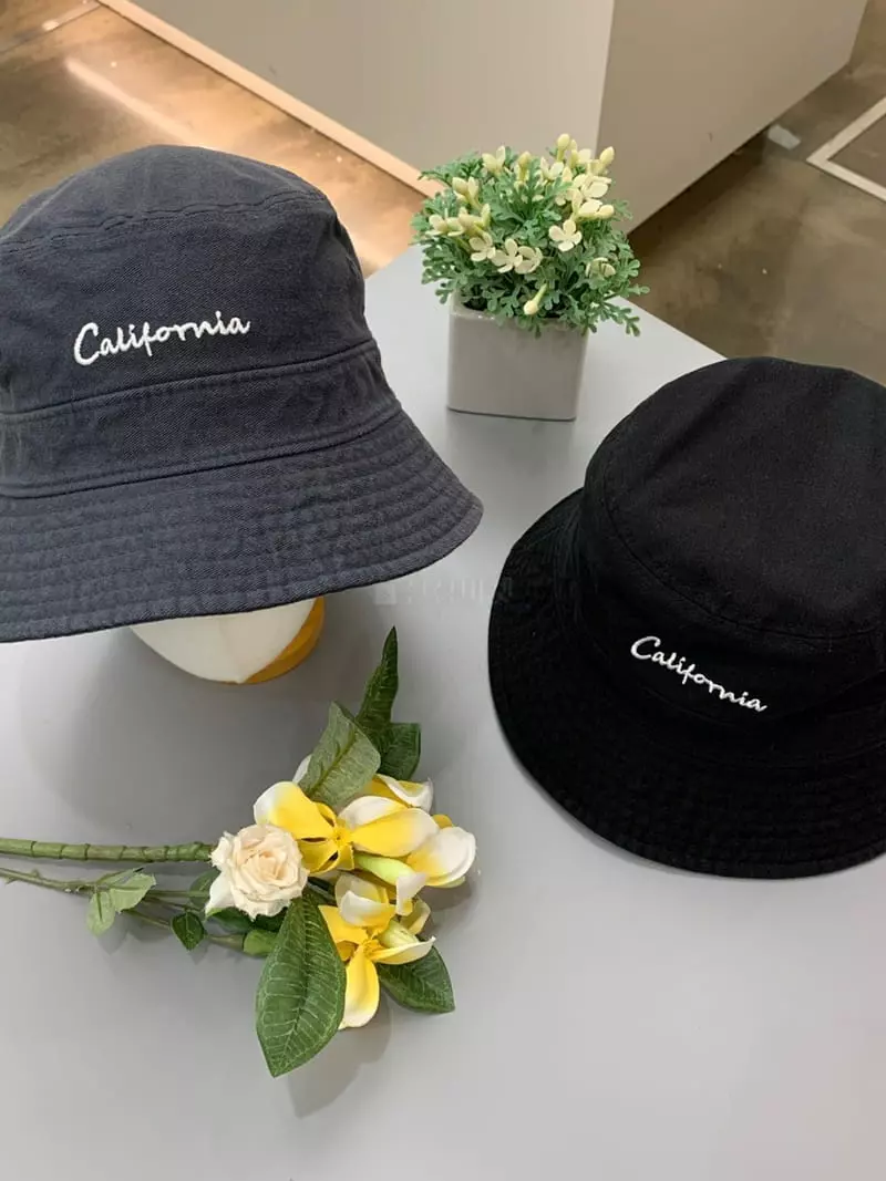 Two J - Korean Women Fashion - #thatsdarling - Embrodiery Hat - 2