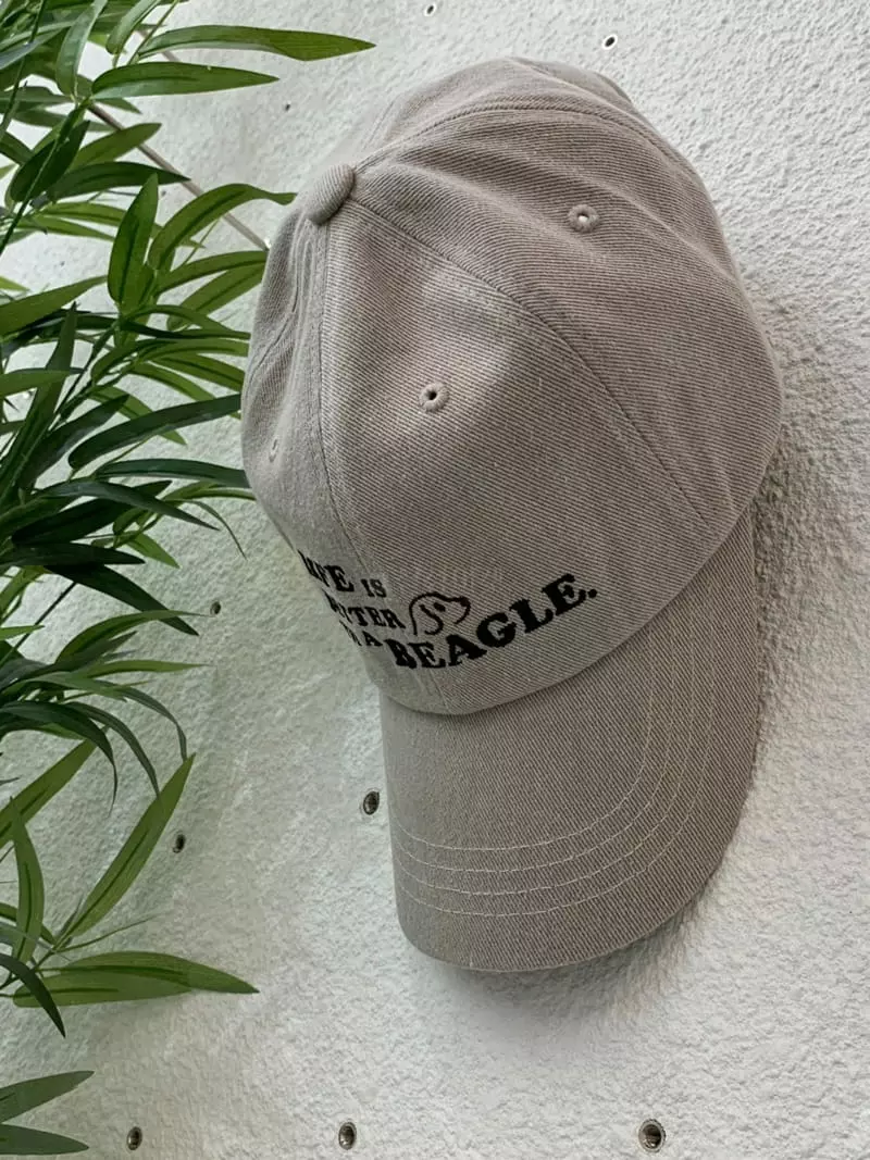Two J - Korean Women Fashion - #momslook - Beagle Cap - 4