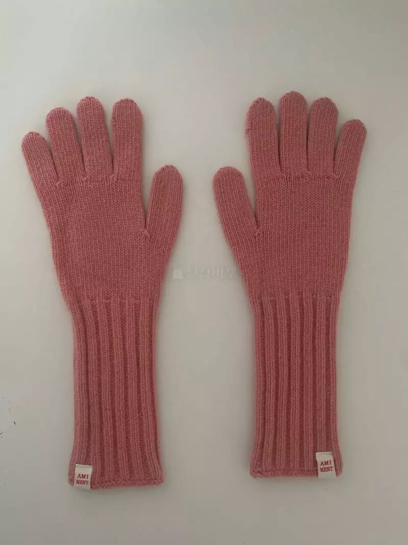 Amiment - Korean Women Fashion - #momslook - Snoe Gloves - 3