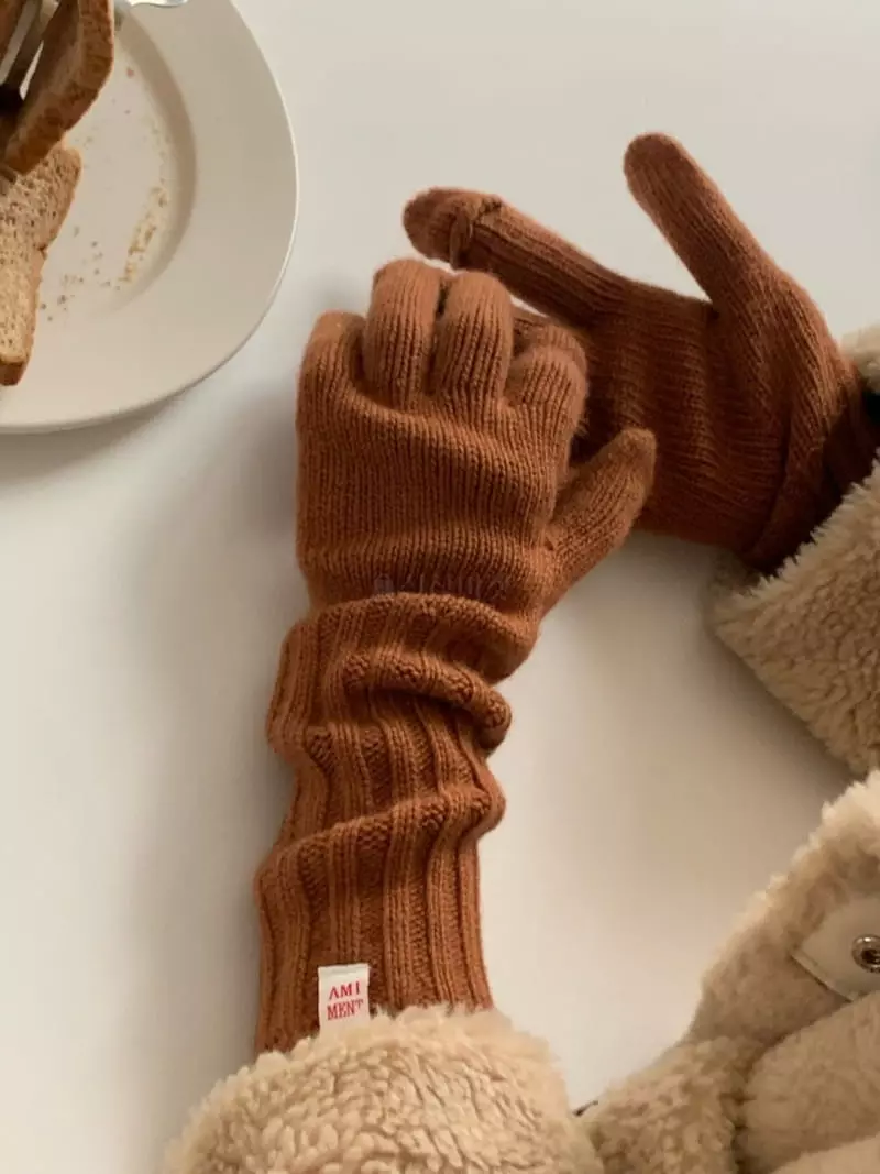 Amiment - Korean Women Fashion - #momslook - Snoe Gloves - 7