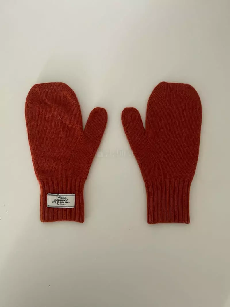 Amiment - Korean Women Fashion - #momslook - Gloves - 2