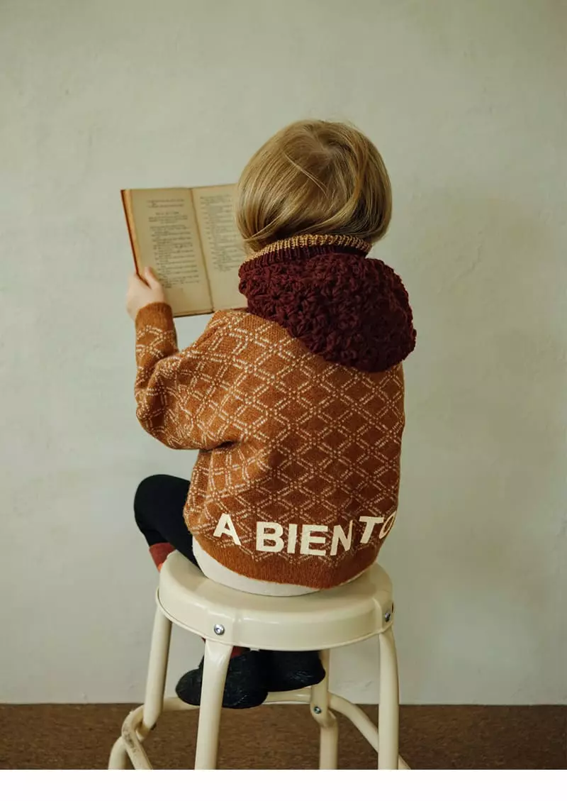 BIEN A BIEN - Korean Children Fashion Brand - #childrensboutique - Plan B Knit Pullover