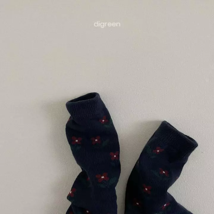 Digreen - Korean Children Fashion - #fashionkids - Arom Socks - 11