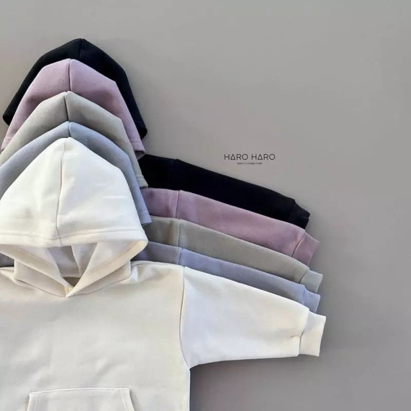 Haro Haro - Korean Children Fashion - #kidsshorts - Everyday Fleece Hoody Tee