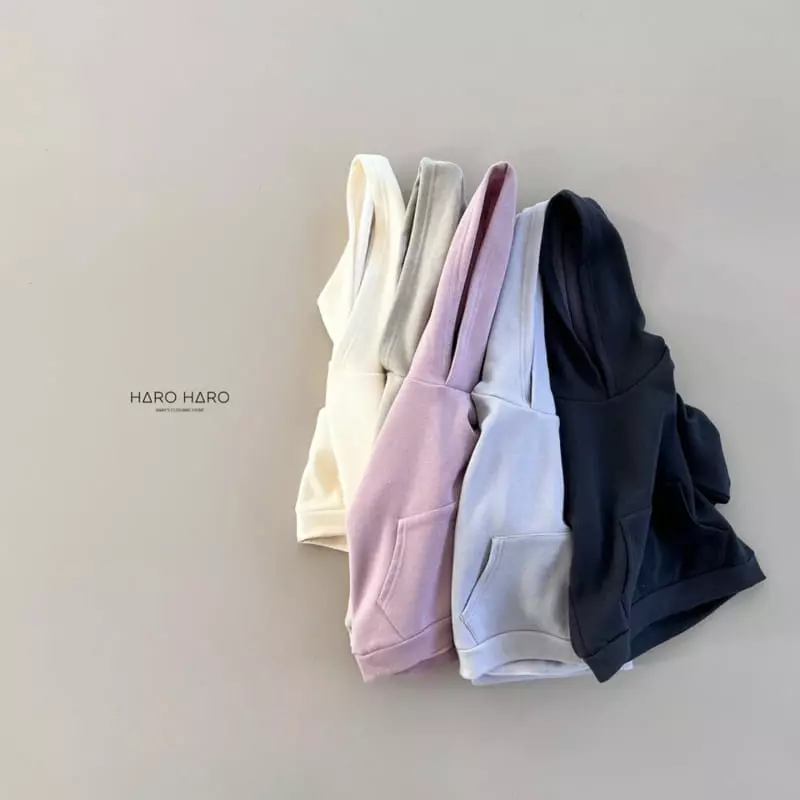 Haro Haro - Korean Children Fashion - #kidzfashiontrend - Everyday Fleece Hoody Tee - 3