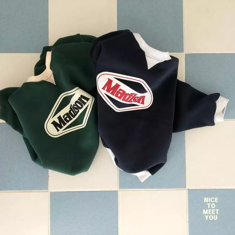 Nice To Meet You - Korean Children Fashion - #kidsstore - Medison Sweatshirt - 6